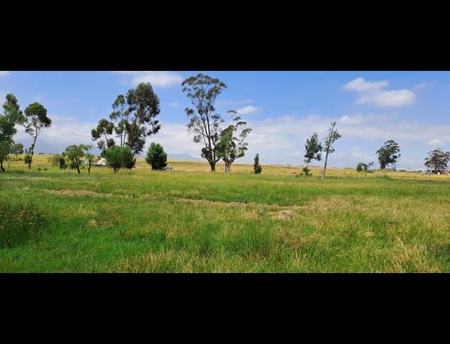 FARM FOR SALE IN PAARL RURAL